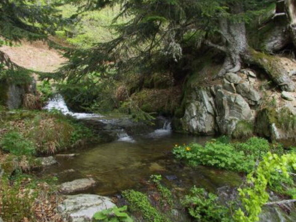 Le niveau d'eau de l'Ardèche
